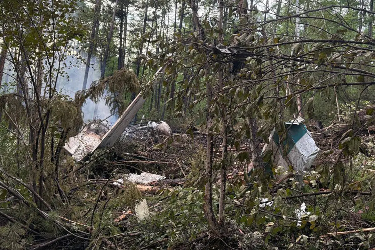 El avión se estrelló en una zona boscosa/AFP