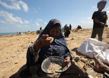 Los gazatíes buscan arroz y frijoles entre la arena para comer/AFP
