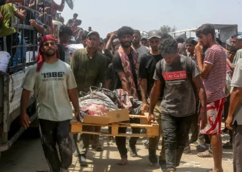 Cada día la situación es más crítica en la Franja de Gaza/AFP