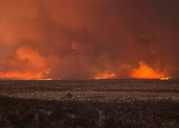 El fuego devoró un tercio del parque nacional de Etosha/AFP