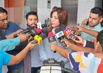 La viceministra Gabriela Alcón se refirió al desarrollo de la industria del litio. Foto: BTV