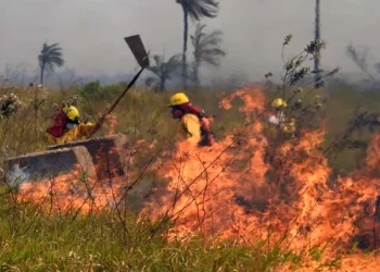 Dos áreas protegidas son afectadas por fuegos activos. FOTO: RRSS