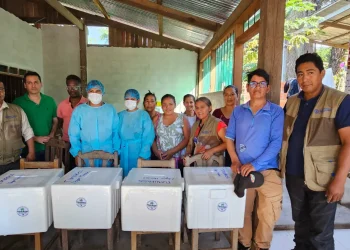 Mujeres tacanas lideran el despegue del asaí paceño