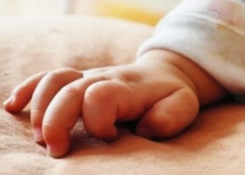 Bebé del norte de La Paz no murió por dengue, el Sedes instruye auditoría