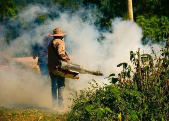 Unidos contra el dengue, los gobiernos nacional, departamental y municipal ejecutarán operativo en Santa Cruz