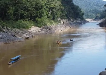 Proeza a remo y vela: Una balsa de totora recorre los ríos de Bolivia