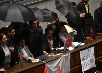 Bochornosa sesión de diputados frena contratos del litio