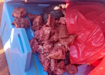 Salud denuncia que se reemplazó vacunas por carne en la cadena de frío