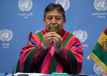 Choquehuanca ratifica cruzada política, jurídica e informativa para desclasificar la hoja de coca