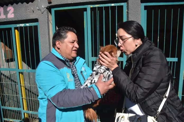 Extraviado hace meses, ‘Churro’ fue hallado en un operativo