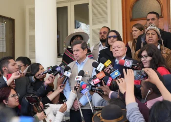 OEA enfatiza importancia de ejercer el derecho a votar en elecciones