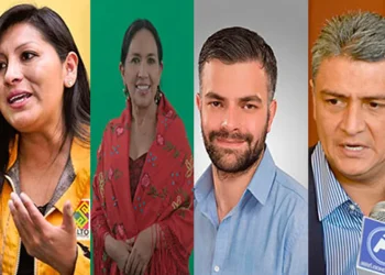 El Senado tendrá como figuras centrales a Marinkovic, Chapetón, Ormachea, Yarhui y Suárez