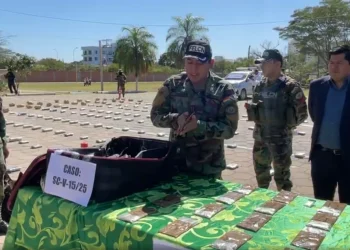 En siete operativos, la FELCN secuestra casi media tonelada de droga en Santa Cruz