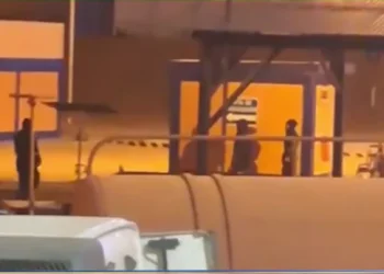 gasolina