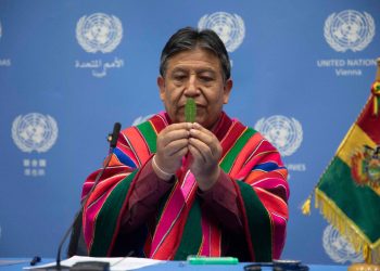 Bolivia demanda su derecho a industrializar y comercializar la coca en su estado natural