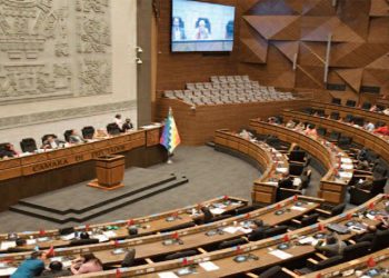 DIPUTADOS