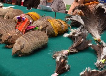 Quirquinchos y plumones fueron decomisados por Pofoma en el Carnaval de Oruro