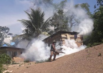 Los casos de dengue suben de manera ‘alarmante’ en La Asunta