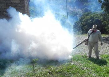 Los casos de dengue llegan a 607 en La Paz