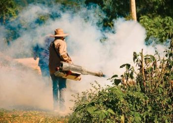 El país pasa ya de 500 casos de dengue, el Ministerio de Salud activa la alerta epidemiológica