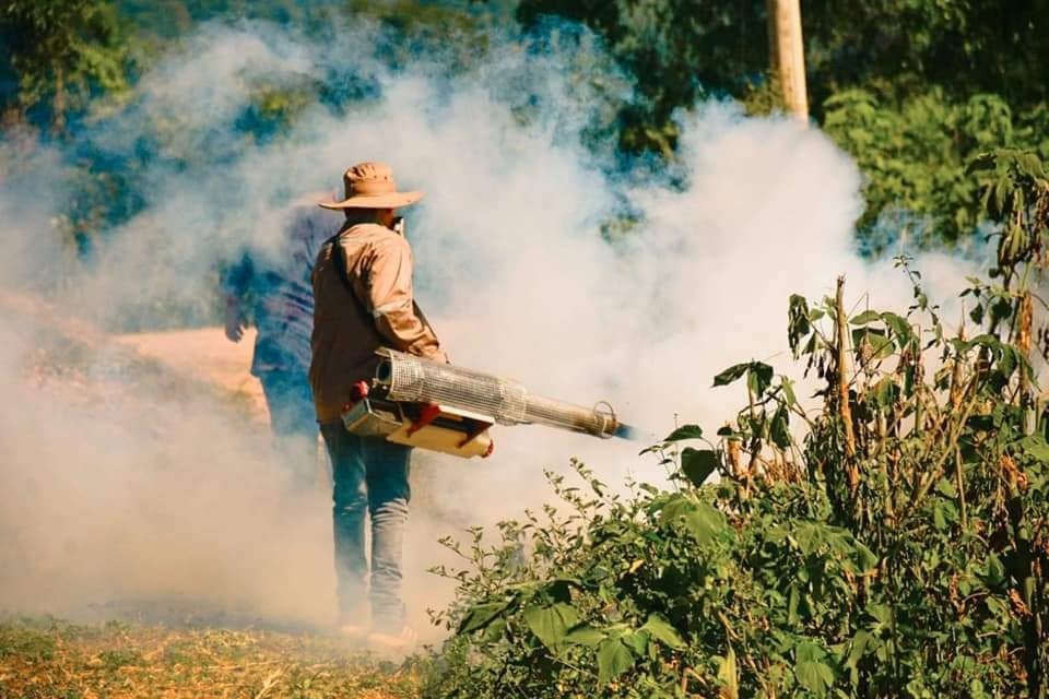 El país pasa ya de 500 casos de dengue, el Ministerio de Salud activa la alerta epidemiológica