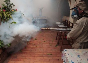 Santa Cruz, en estado de alerta por el incremento de casos de dengue