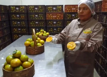 Habrá doble ración de desayuno escolar en El Alto al retorno a clases