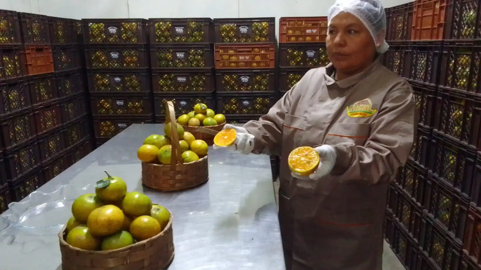 Habrá doble ración de desayuno escolar en El Alto al retorno a clases