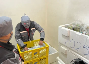 La vuelta a aulas es con doble desayuno escolar en El Alto