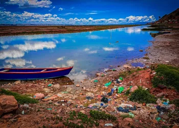 ¿Cuáles son las propuestas para salvar el lago Titicaca?, esto dice Fundación Tierra