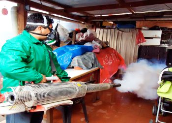 declaran epidemia por dengue Fumigación