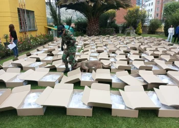 TSE inicia el envío de maletas electorales para el voto en el exterior