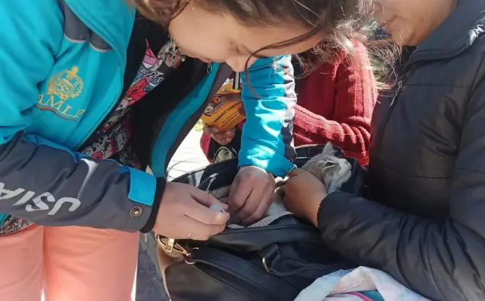 ‘Zoonosis en tu barrio’ llega a Villa Fátima esta semana