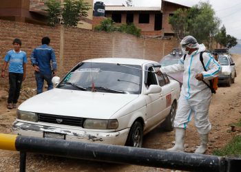 El Senasag afirma que el riesgo de contagio de gripe aviar a humanos es ‘mínimo’