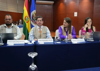 OEA rechaza intentos de entorpecer las elecciones y exhorta a votar