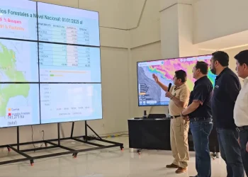 Monitoreo reporta 741.371 hectáreas afectadas por el fuego