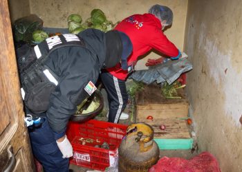 Hallan hasta ratones en el sector de ‘Los Hornitos’ de El Alto y clausuran un restaurante