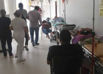 En menos de dos días, se reporta la muerte de tres bebés con síntomas de dengue