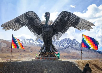 Un cóndor de los Andes es el nuevo atractivo turístico de Alto Milluni
