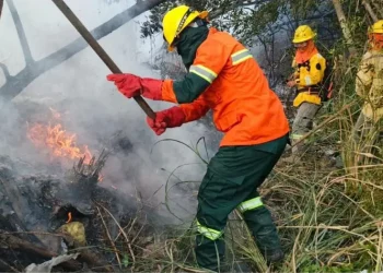 Los bomberos forestales están en alerta/Min. de Defensa