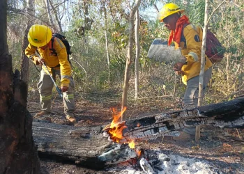 Incendio en Palmarito, Santa Cruz, es sofocado
