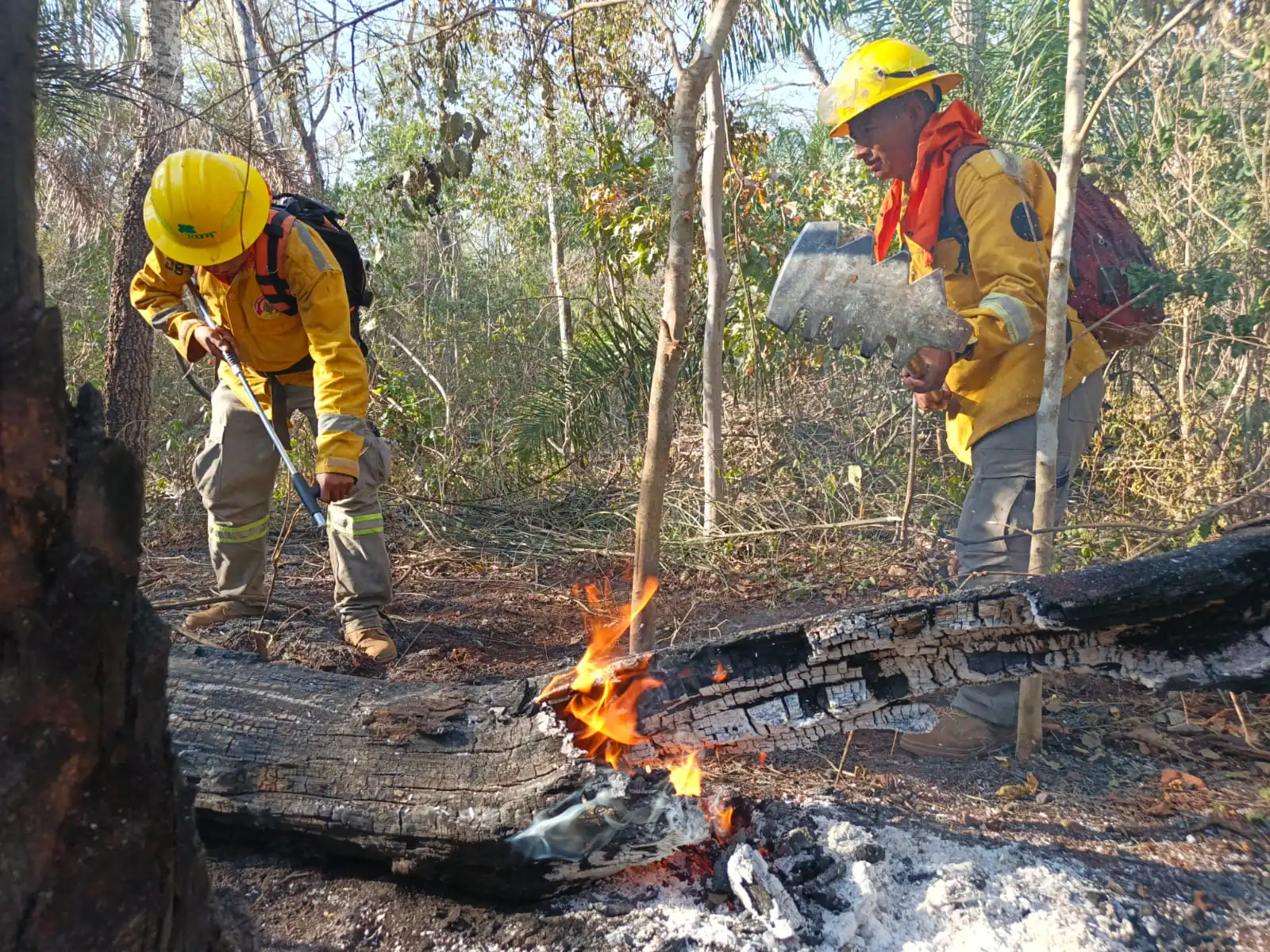 Incendio en Palmarito, Santa Cruz, es sofocado