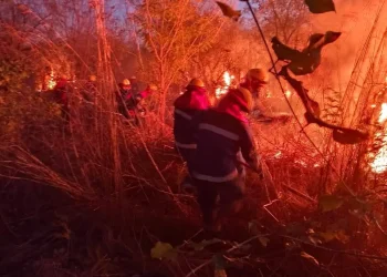 Un incendio afecta al parque Noel Kempff Mercado