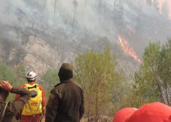 Un nuevo equipo de bomberos fue enviado a Tarija; confirman dos heridos