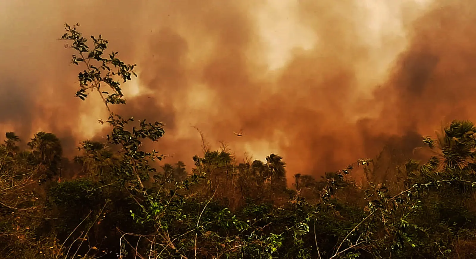 La mayoría de procesos por incendios fue abierta en Santa Cruz