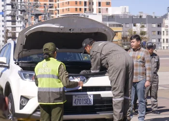inspección