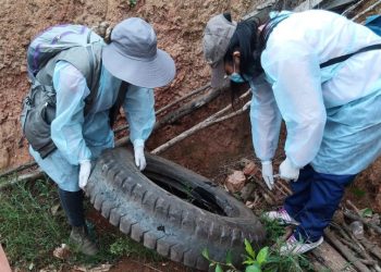La Paz pasa del centenar de casos de dengue, Teoponte es el municipio más afectado