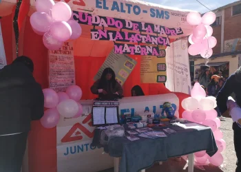 Mes de la Lactancia Materna cierra con feria y premios en El Alto