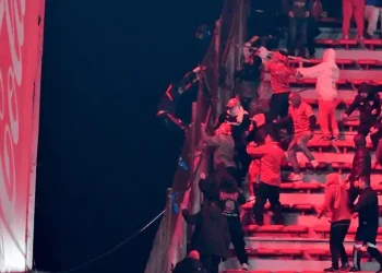 Dieron de alta al hincha que cayó de la tribuna de Independiente