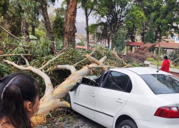 Dos horas de lluvia en La Paz, 77 llamadas de auxilio y dos árboles caídos
